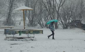 В ближайшие часы на Москву обрушится метель