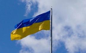 На Украине призвали ЦИК не регистрировать наблюдателей от РФ