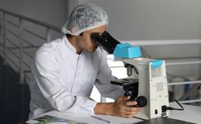 Российские учёные изобрели вакцину от Эболы