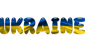 Червоненко: Украина осталась одна со своими проблемами
