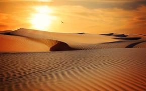 В Сахаре учёные нашли строения неизвестной цивилизации