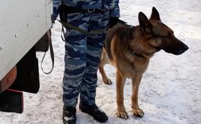 В Москве снова проверяют несколько ТЦ после сообщений о заложенных бомбах