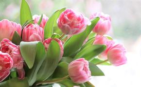 Россияне в этом году стали покупать меньше цветов и украшений перед 8 марта