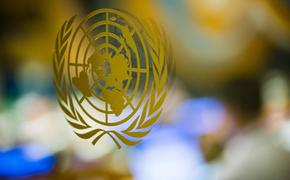В ООН подтвердили гибель 22 сотрудников при крушении самолета в Африке