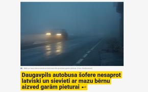 В Латвии пассажирка автобуса вцепилась в волосы водителю из-за русского языка