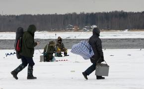 В Новгородской области спасатели сняли рыбаков с отколовшейся льдины
