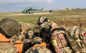 Спецслужбы показали, как будет пресечена провокация Порошенко