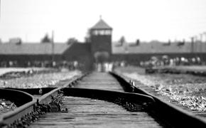 Американцу грозит год тюрьмы за воровство "части путей" ж/д Освенцима