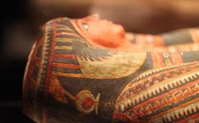 В Египте обнаружен саркофаг и мумии возрастом четыре тысячи лет