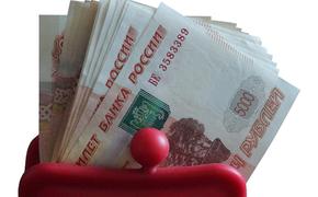 Граждане России назвали уровень дохода для достойной жизни