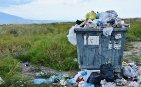 В Кабардино-Балкарии на свалке нашли тело младенца в пакете