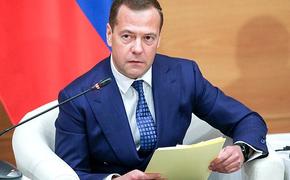 Медведев призвал оценить ущерб, нанесённый пожарами в Забайкалье