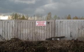 Москве и Волге угрожает сибирская язва из-за вопиющего бездействия тверских властей