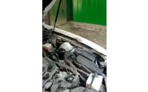 В Одессе змея спряталась в машине и вылезла во время движения