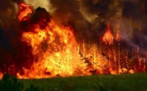 В Хабаровском крае обострилась угроза лесных пожаров