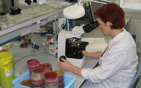 В Хабаровском крае выявили третий случай заражения клещевым энцефалитом