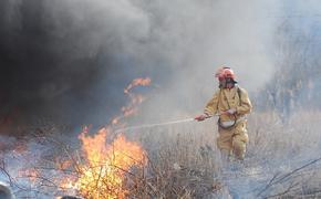 В Хабаровском крае участились лесные пожары