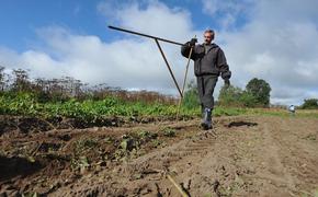Владельцы дв-гектаров в Хабаровском крае получат новую дорогу