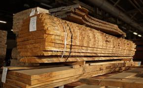 Граждане КНР нелегально обрабатывали древесину в Хабаровском крае
