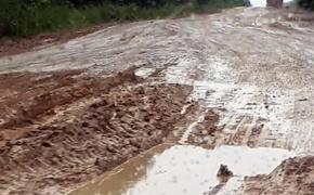 В Хабаровском крае лесовозам запретили ездить по исчезающей трассе