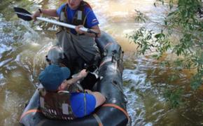 Спасателям Хабаровского края приходится вывозить брошенных в наводнении животных