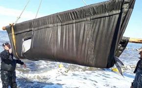 Мормлеков из «китовой тюрьмы» поспешат выпустить до новой волны паводка в Хабкра