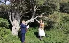Англичанка вышла замуж за дерево
