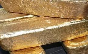 Резидент ТОР «Николаевск» намерен добывать 1,5 тонны золота в год