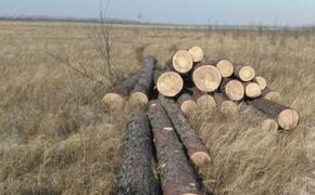 Хабаровский бизнесмен похитил 4 млн руб у лесопромышленника