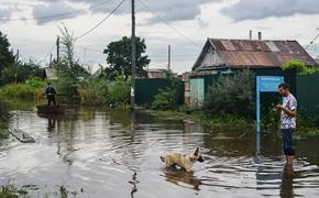 Власти Хабаровского края купят подтопленцам новое жилье