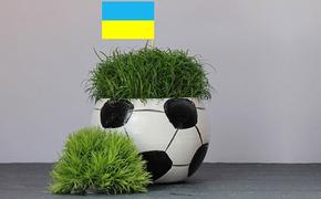 На Украине рассказали, как обворовали УЕФА