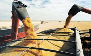 В Литве некоторые политики требуют запретить импорт российской пшеницы
