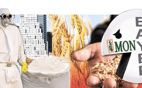 Ввоз в Россию соевой ГМО-продукции без регистрации продлили на год