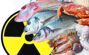 Из-за «Фукусимы» китайцы вспомнили о русской рыбе