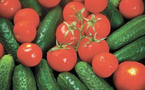 Минсельхоз РФ: самообеспеченность овощами в России составляет 87%