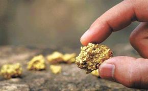 Золота в недрах Земли осталось на 15–28 лет добычи
