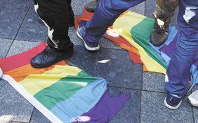 «Она принесёт ещё немало вреда»: философ Владимир Варава об идеологии ЛГБТ