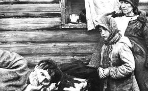 «Наукой и не пахнет»: историк Виктор Кондрашин о концепции «голодомора украинцев»