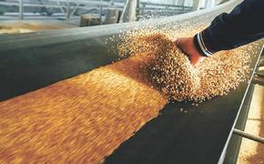 В Польше запретили импорт украинского зерна