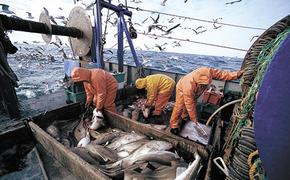 Прибалтика хочет оставить Европу без российской охлаждённой рыбы