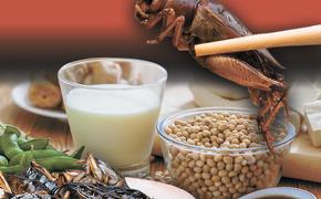 Тараканы на ужин