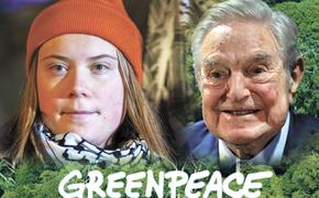 Проходите только на зелёный