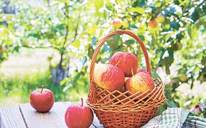 Секреты долгого хранения